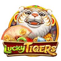 Top Slot Game Provider